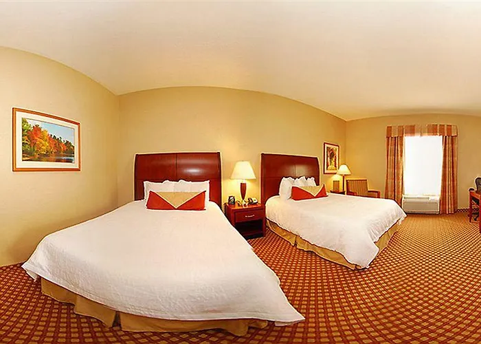 Hilton Garden