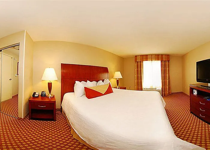 Hilton Garden Hotel 3*
